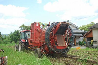 じゃがいもの収穫: 農業生産法人 さかうえ 広報ブログ